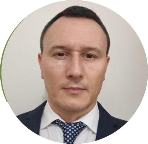 Prof. Dr. Marius Pislaru